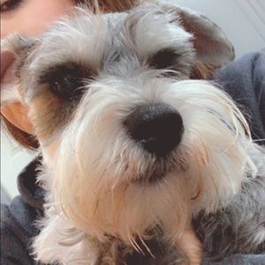 Meet your Posher, Sarah